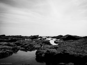 Preview wallpaper reefs, stones, sea, landscape, black and white