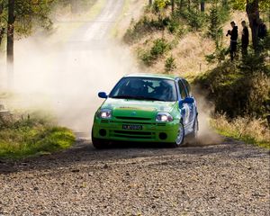 Preview wallpaper renault, car, green, rally, dust