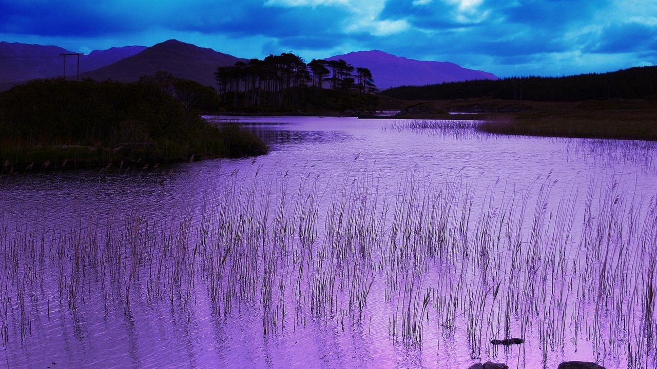 Wallpaper reservoir, grass, pink, evening