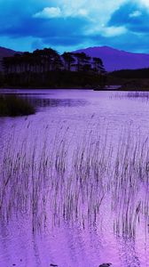 Preview wallpaper reservoir, grass, pink, evening