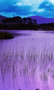 Preview wallpaper reservoir, grass, pink, evening