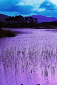 Preview wallpaper reservoir, grass, pink, evening