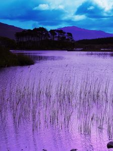 Preview wallpaper reservoir, grass, pink, evening