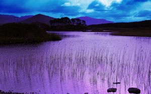 Preview wallpaper reservoir, grass, pink, evening