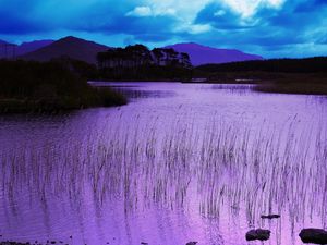 Preview wallpaper reservoir, grass, pink, evening