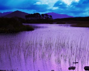 Preview wallpaper reservoir, grass, pink, evening