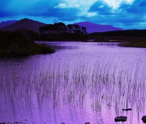 Preview wallpaper reservoir, grass, pink, evening