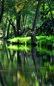 Preview wallpaper reservoir, river, garden, flowers, trees, shadow, cool, summer residences