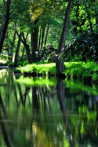 Preview wallpaper reservoir, river, garden, flowers, trees, shadow, cool, summer residences