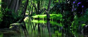 Preview wallpaper reservoir, river, garden, flowers, trees, shadow, cool, summer residences