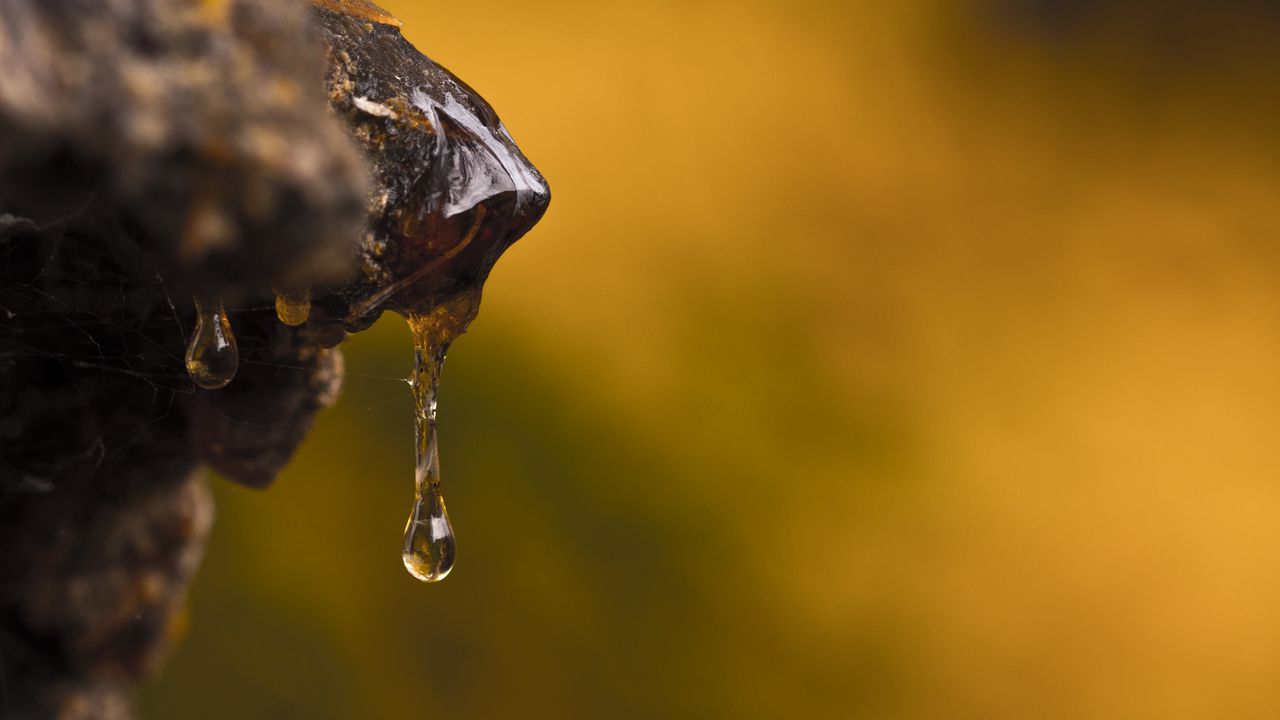 Wallpaper resin, drops, macro