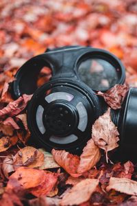 Preview wallpaper respirator, foliage, autumn, fallen