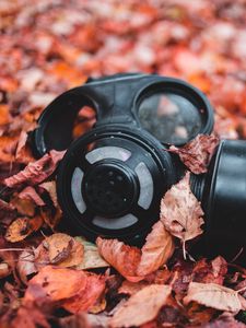 Preview wallpaper respirator, foliage, autumn, fallen