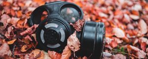 Preview wallpaper respirator, foliage, autumn, fallen