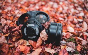 Preview wallpaper respirator, foliage, autumn, fallen