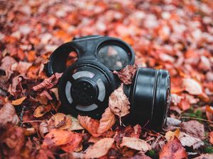 Preview wallpaper respirator, foliage, autumn, fallen