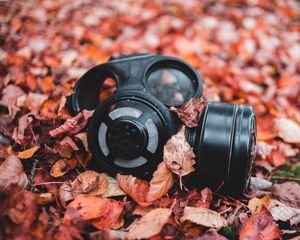 Preview wallpaper respirator, foliage, autumn, fallen