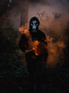 Preview wallpaper respirator, hood, color bump, smoke, forest