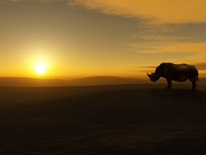 Preview wallpaper rhino, sunset, nature, sky, landscape, silhouette