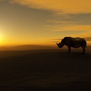 Preview wallpaper rhino, sunset, nature, sky, landscape, silhouette