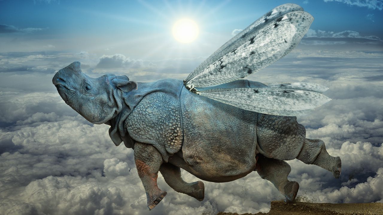 Wallpaper rhino, wings, flight, clouds, icarus