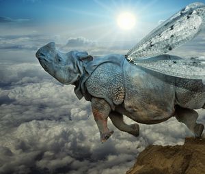 Preview wallpaper rhino, wings, flight, clouds, icarus