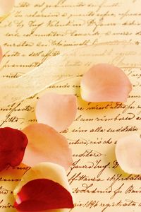 Preview wallpaper ribbon, petals, rose, email, parchment
