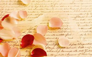 Preview wallpaper ribbon, petals, rose, email, parchment