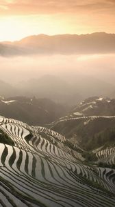 Preview wallpaper rice fields, mountains, fog