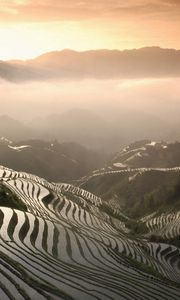 Preview wallpaper rice fields, mountains, fog