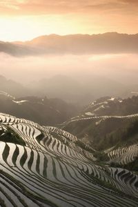 Preview wallpaper rice fields, mountains, fog