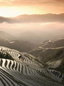 Preview wallpaper rice fields, mountains, fog