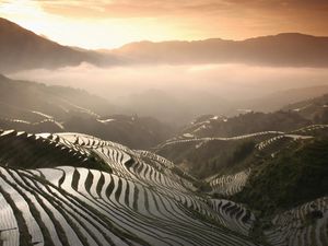 Preview wallpaper rice fields, mountains, fog