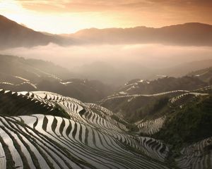 Preview wallpaper rice fields, mountains, fog