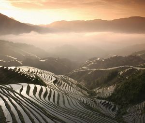 Preview wallpaper rice fields, mountains, fog