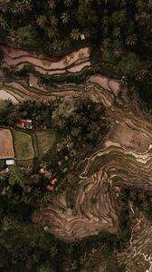 Preview wallpaper rice fields, plantations, aerial view, relief, tropics