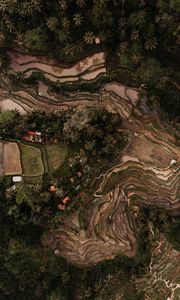 Preview wallpaper rice fields, plantations, aerial view, relief, tropics