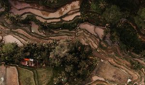 Preview wallpaper rice fields, plantations, aerial view, relief, tropics