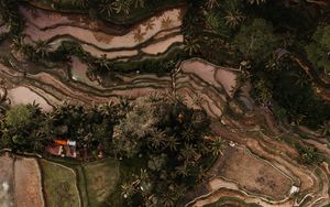 Preview wallpaper rice fields, plantations, aerial view, relief, tropics