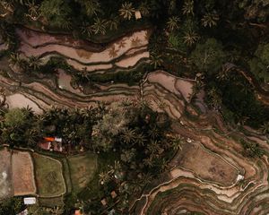 Preview wallpaper rice fields, plantations, aerial view, relief, tropics