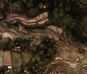 Preview wallpaper rice fields, plantations, aerial view, relief, tropics