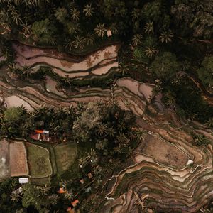 Preview wallpaper rice fields, plantations, aerial view, relief, tropics