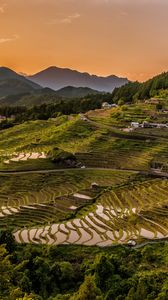 Preview wallpaper rice fields, uplands, structure, cultivation, evening