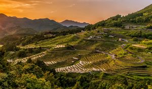 Preview wallpaper rice fields, uplands, structure, cultivation, evening