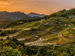 Preview wallpaper rice fields, uplands, structure, cultivation, evening