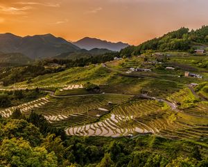 Preview wallpaper rice fields, uplands, structure, cultivation, evening