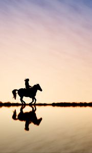 Preview wallpaper rider, horse, silhouette, skyline, sky