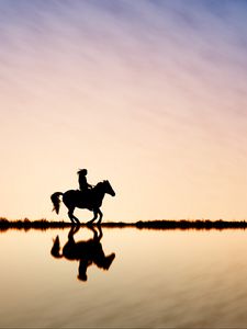 Preview wallpaper rider, horse, silhouette, skyline, sky