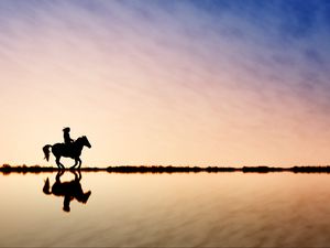 Preview wallpaper rider, horse, silhouette, skyline, sky