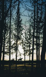 Preview wallpaper riders, silhouettes, forest, sunset, landscape, trees, horses